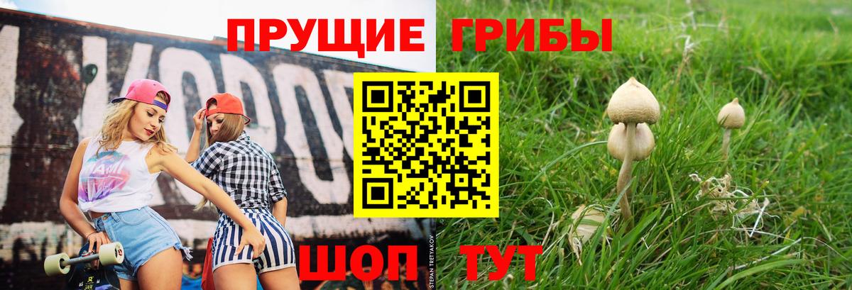 Галлюциногенные грибы Psilocybe  где продают наркотики  Вход с VPN  Кемерово  Псилоцибиновые грибы Psilocybe 